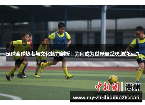 足球全球热潮与文化魅力剖析：为何成为世界最受欢迎的运动