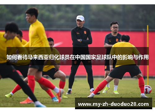 如何看待马来西亚归化球员在中国国家足球队中的影响与作用