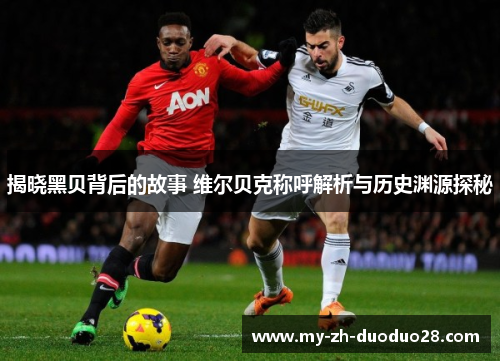 揭晓黑贝背后的故事 维尔贝克称呼解析与历史渊源探秘