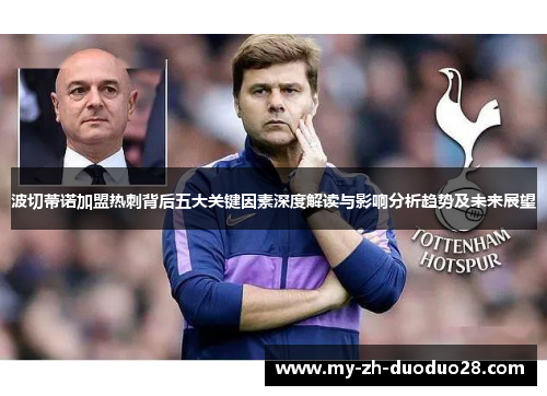 波切蒂诺加盟热刺背后五大关键因素深度解读与影响分析趋势及未来展望