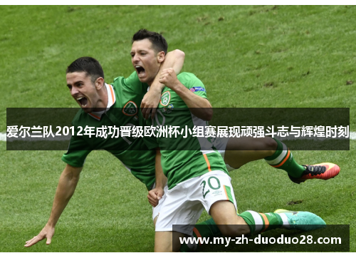 爱尔兰队2012年成功晋级欧洲杯小组赛展现顽强斗志与辉煌时刻