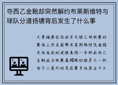 夺西乙金靴却突然解约布莱斯维特与球队分道扬镳背后发生了什么事 夺西乙金靴却突然解约布莱斯维特与球队分道扬镳背后发生了什么事